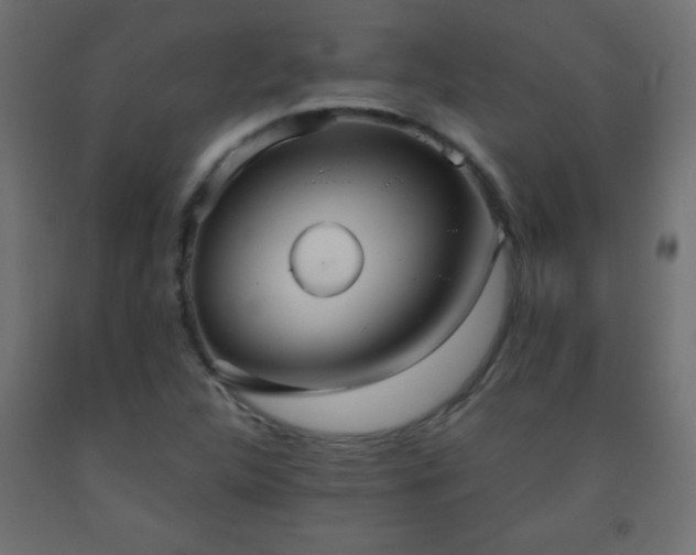 X0000093561312200710151059