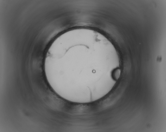 X0000093561314200710151059
