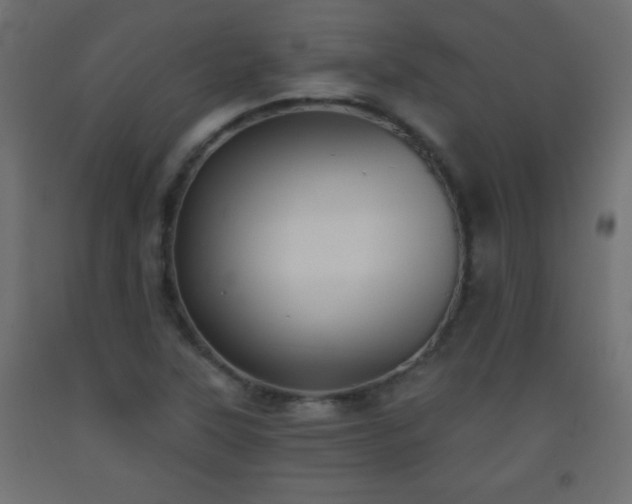 X0000093561315200710151059