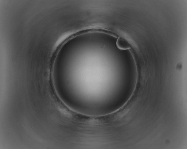 X0000093561316200710151059