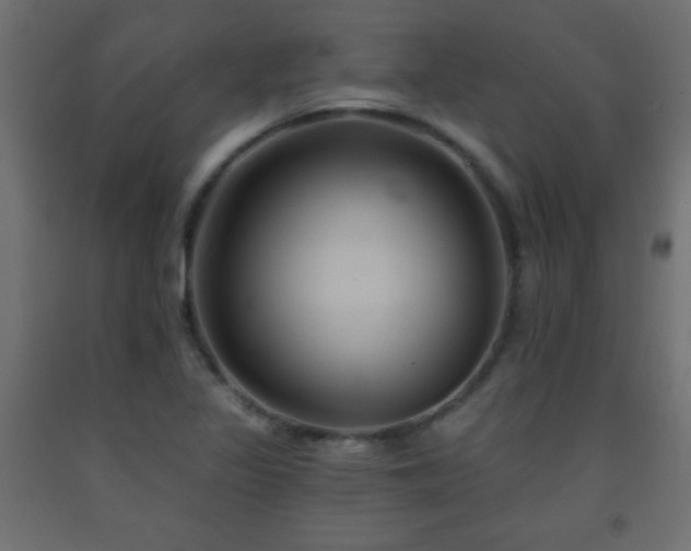 X0000093561317200710151059
