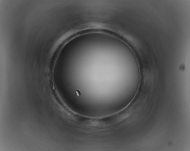 X0000093561318200710151059