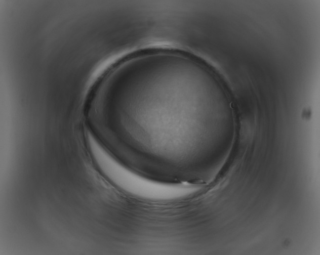 X0000093561319200710151059