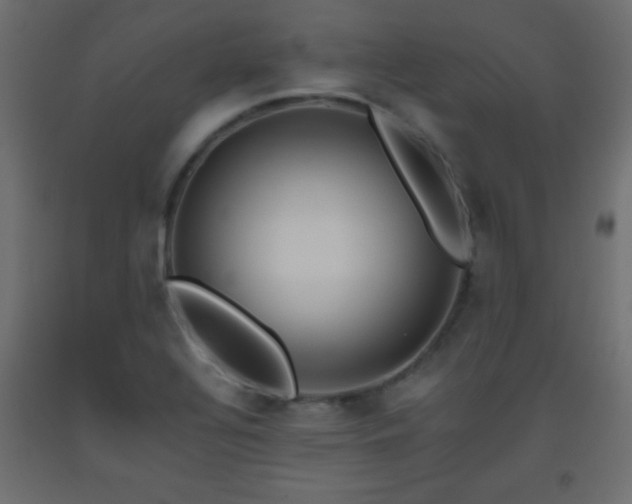 X0000093561320200710151059