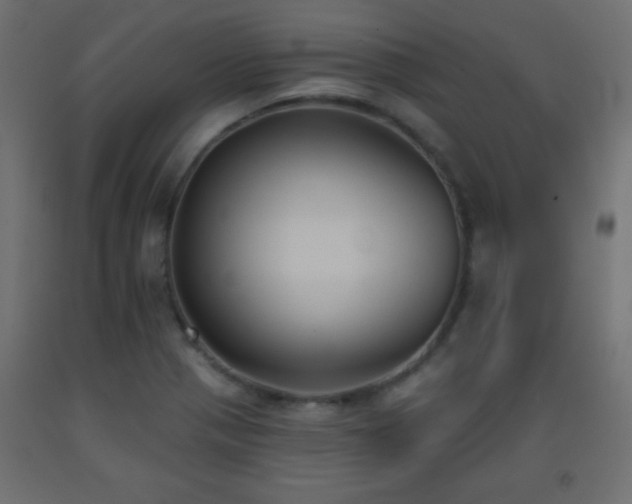 X0000093561321200710151059