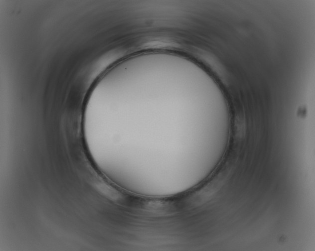 X0000093561322200710151059