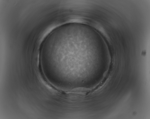 X0000093561323200710151059