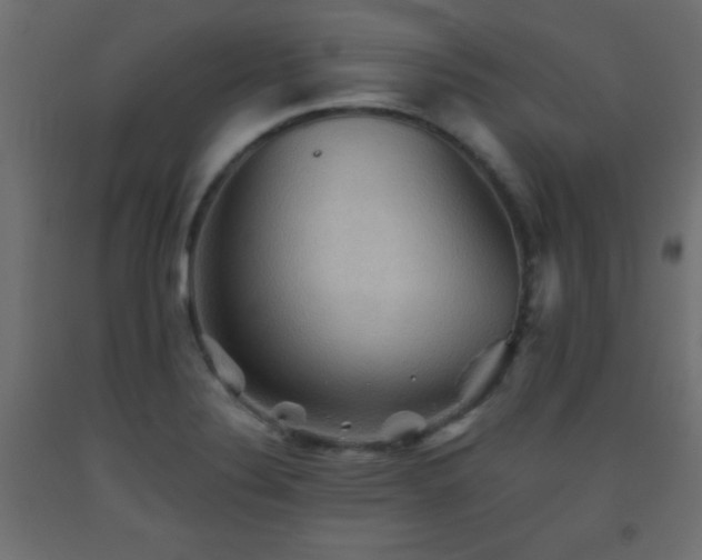 X0000093561324200710151059