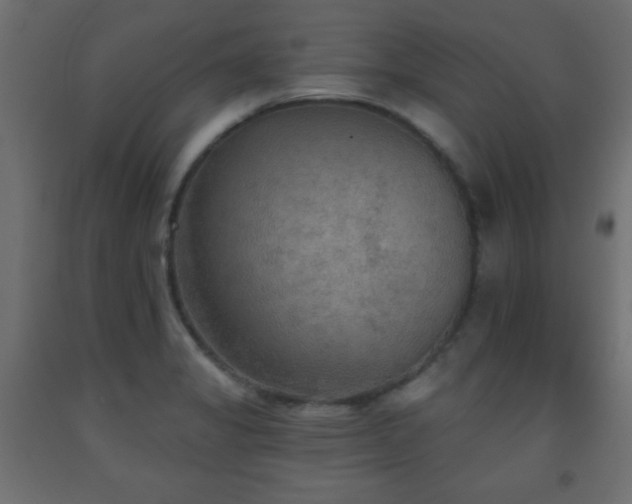 X0000093561325200710151059