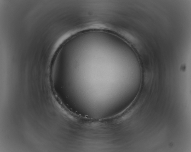X0000093561326200710151059