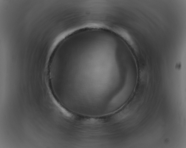 X0000093561327200710151059