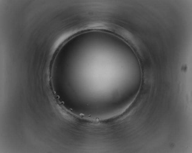 X0000093561328200710151059
