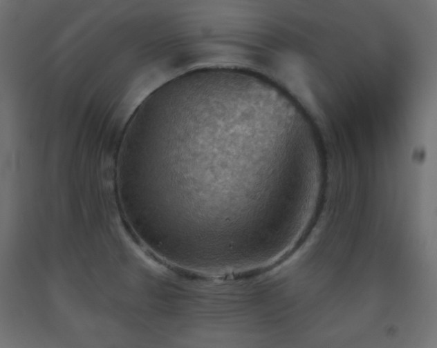 X0000093561329200710151059