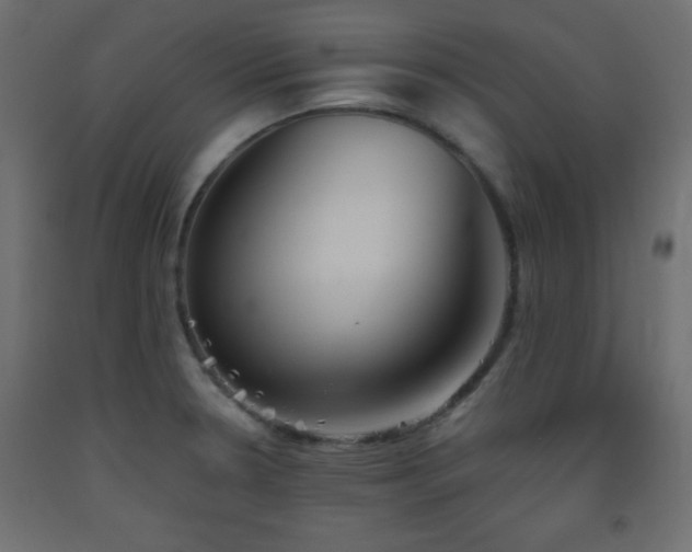 X0000093561330200710151059