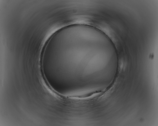 X0000093561331200710151059