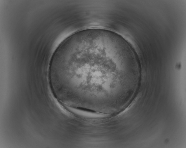 X0000093561333200710151059