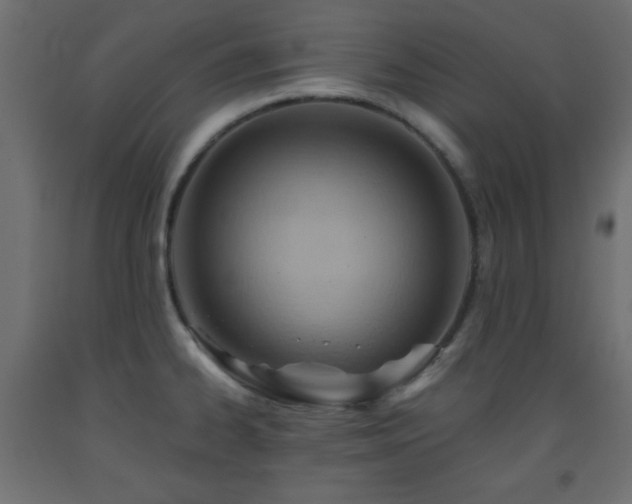 X0000093561334200710151059