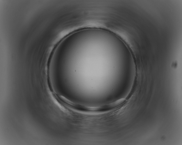 X0000093561335200710151059