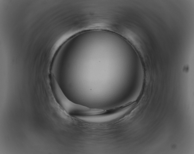 X0000093561336200710151059