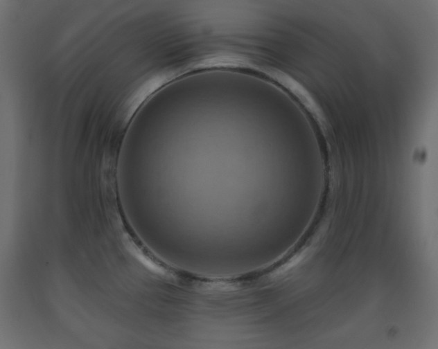 X0000093561337200710151059