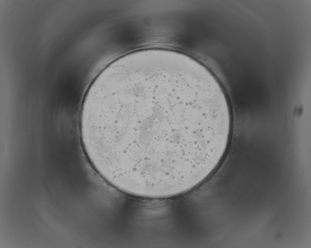 X0000093561338200710151059