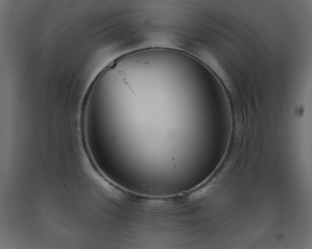 X0000093561339200710151059