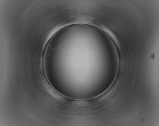 X0000093561340200710151059