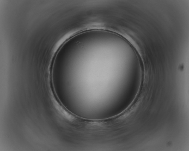 X0000093561341200710151059