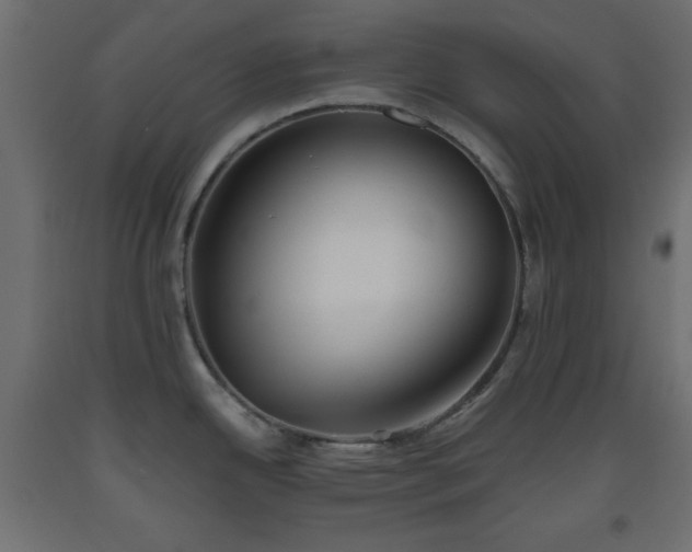 X0000093561342200710151059
