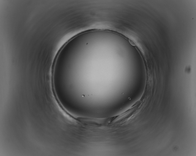 X0000093561343200710151059