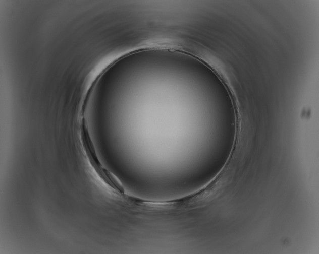 X0000093561344200710151059