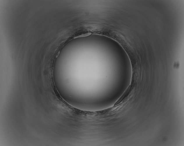 X0000093561345200710151059