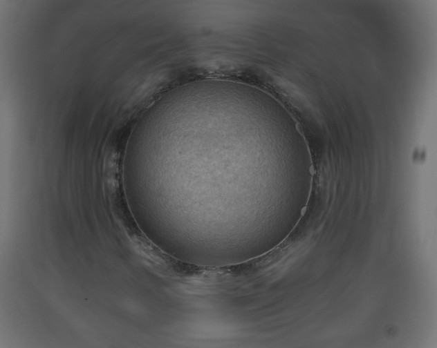 X0000093561346200710151059