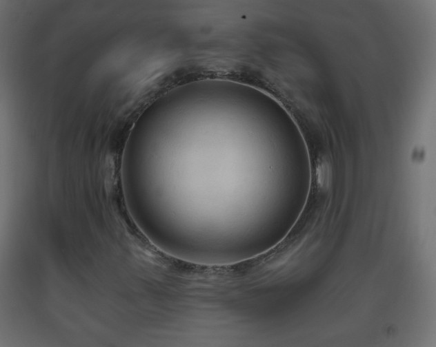 X0000093561347200710151059