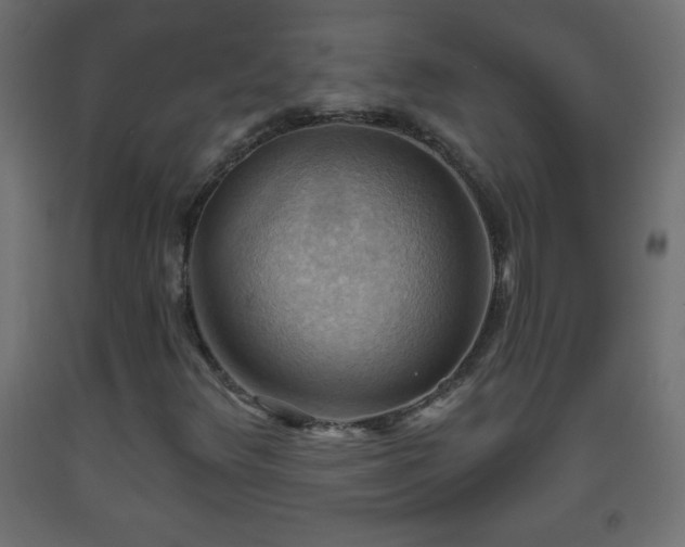 X0000093561348200710151059