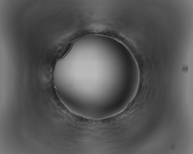 X0000093561349200710151059