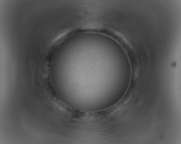 X0000093561350200710151059