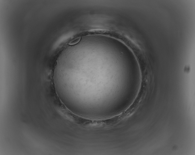 X0000093561351200710151059