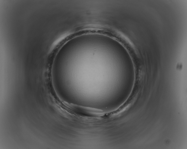 X0000093561352200710151059