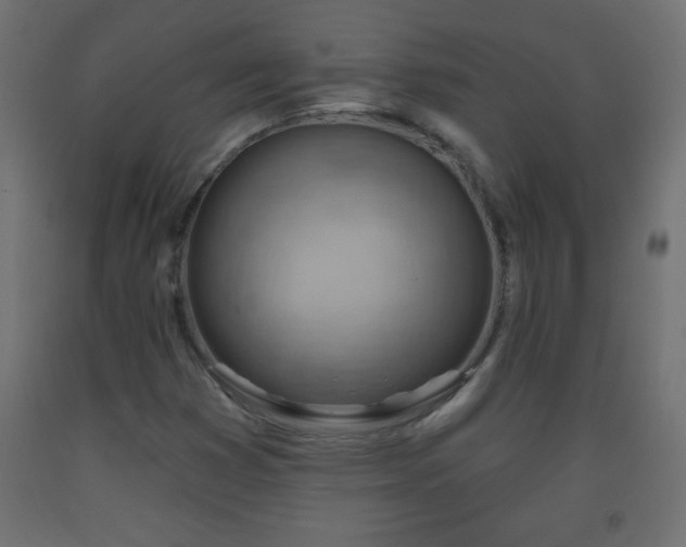 X0000093561353200710151059