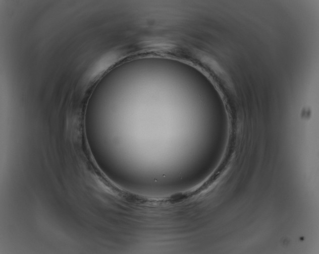 X0000093561354200710151059