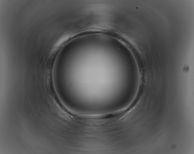 X0000093561355200710151059