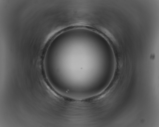 X0000093561356200710151059