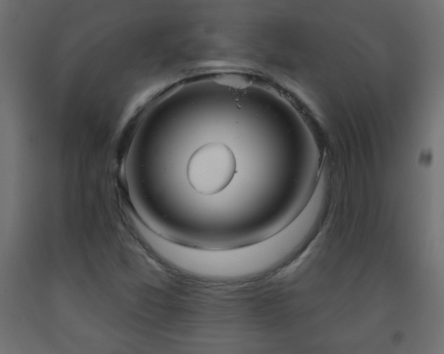X0000093561357200710151059