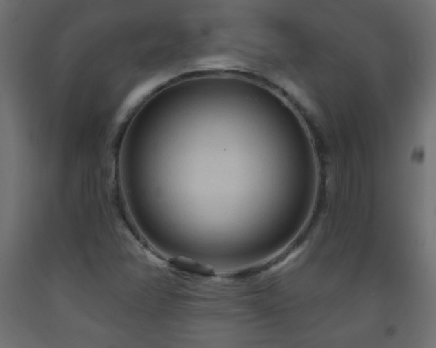 X0000093561358200710151059