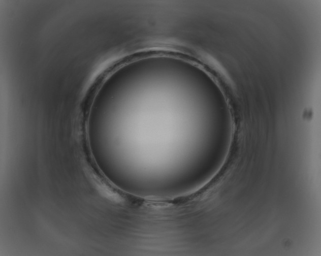 X0000093561360200710151059