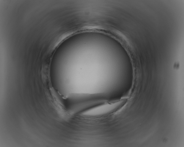 X0000093561361200710151059