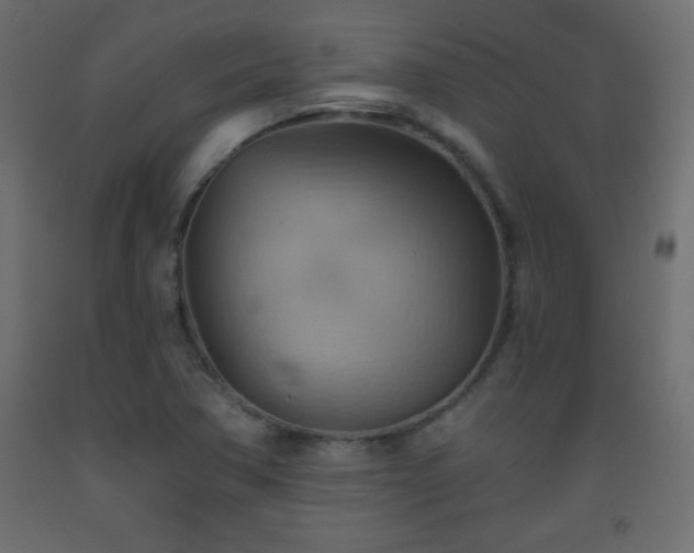 X0000093561362200710151059