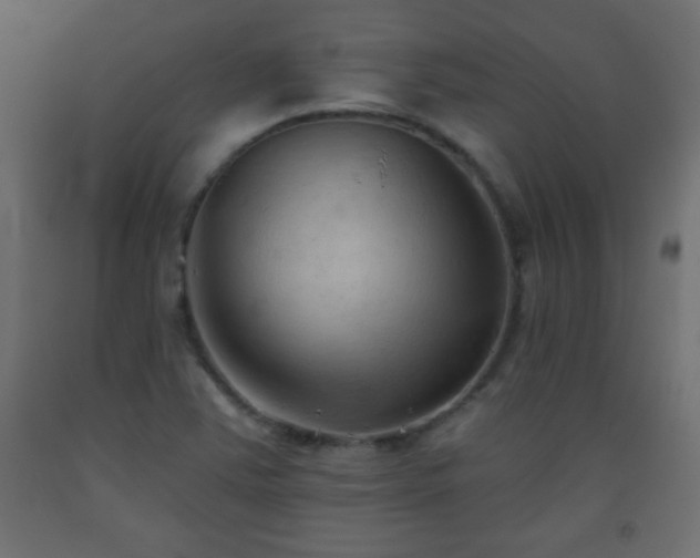 X0000093561363200710151059