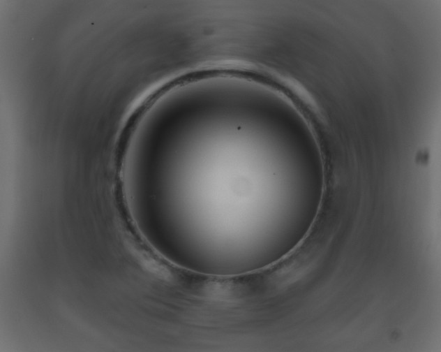 X0000093561364200710151059